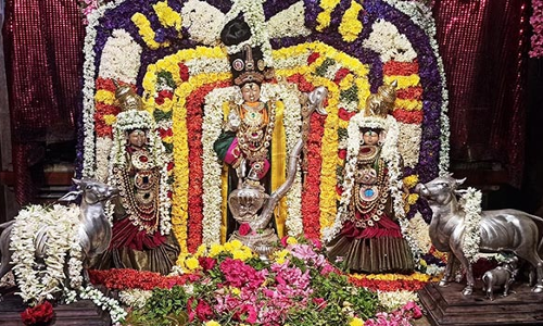 காளிங்க நர்த்தன கிருஷ்ணன்கோவிலில் கிருஷ்ண ஜெயந்தி விழா