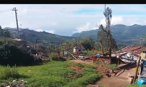 கோத்தகிரி அருகே  பல ஆண்டுகளாக சாலை வசதி இல்லாமல் தவிக்கும் கிராமம்