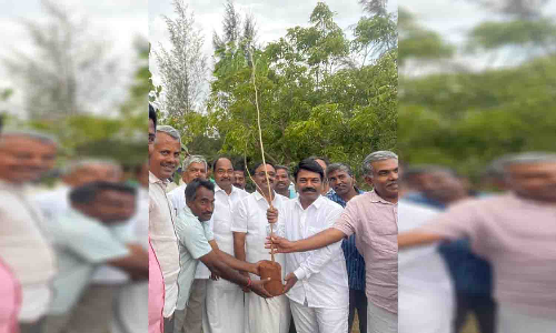 பல்லடம் அருகே மரக்கன்றுகள் நடும் விழாவில் சினிமா நடிகர் தாமு பங்கேற்பு