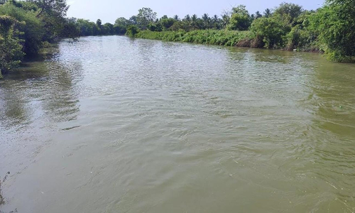 கீழ்பவானி வாய்க்காலில் அதிகரிக்கும் தற்கொலைகள்