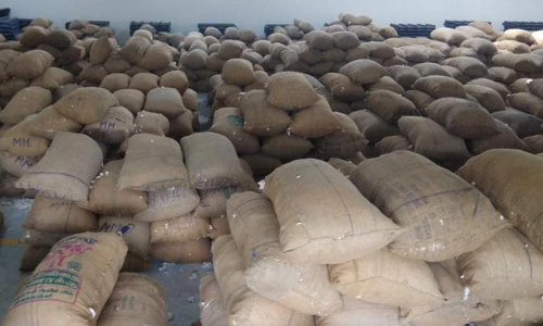 கடந்த வாரத்தை விட குறைவாக விற்பனைக்கு வந்த பருத்தி மூட்டைகள்