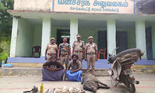 வனவிலங்குகளை வேட்டையாடிய 2 பேர் கைது- கையும் களவுமாக பிடித்த வனத்துறையினர்