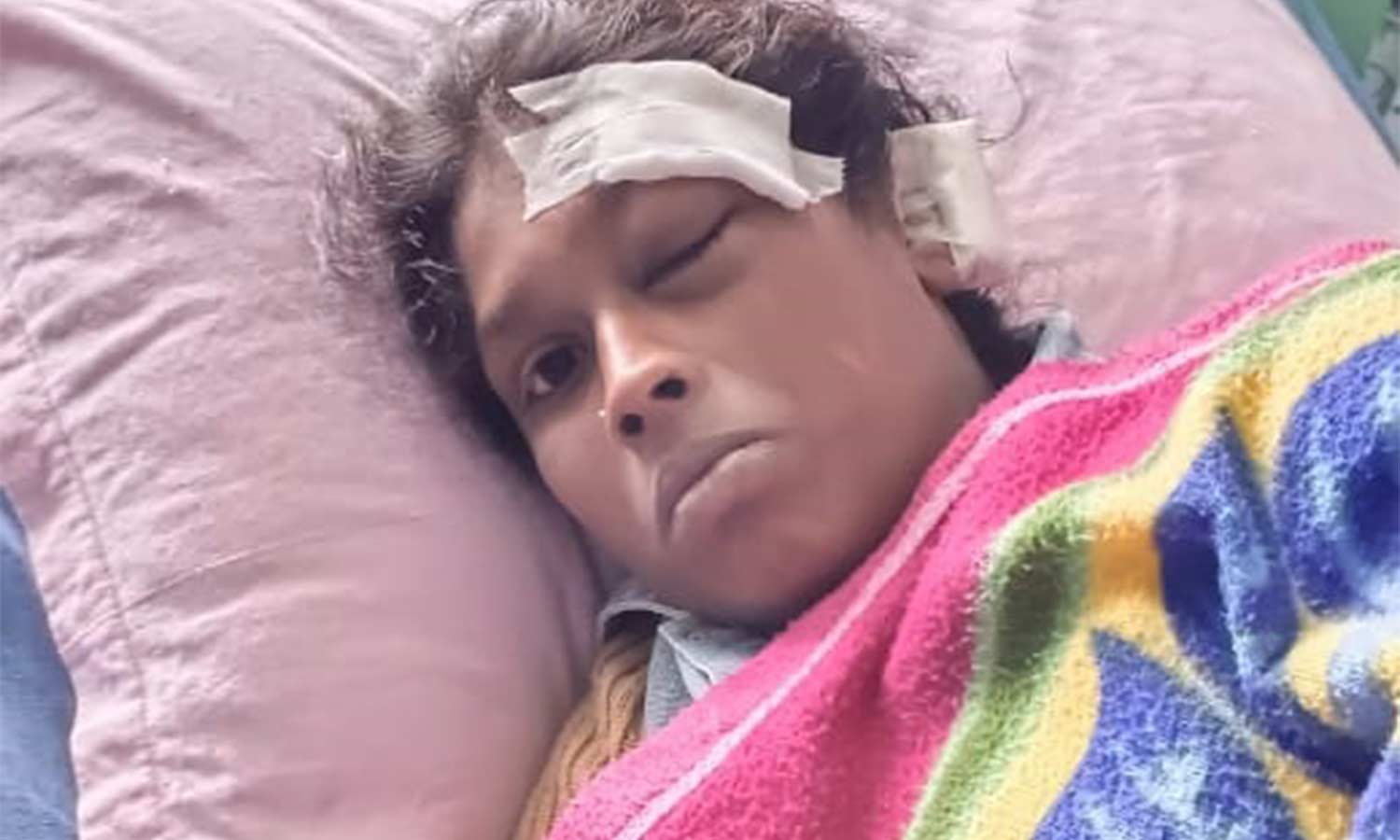 கொடைக்கானலில் காட்டெருமை தாக்கி 2 பெண்கள் படுகாயம் கொடைக்கானலில் காட்டெருமை தாக்கி 2 பெண்கள் படுகாயம்