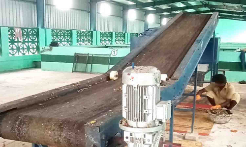 அவிநாசி பேரூராட்சியில் மக்கும் குப்பையில் இருந்து இயற்கை உரம் தயாரிப்பு