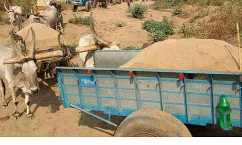 உளுந்தூர்பேட்டை அருகே  மணல் கடத்திய மாட்டு வண்டிகள் பறிமுதல்