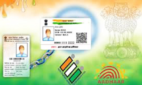 நெல்லை மாவட்டத்தில் வாக்காளர் அட்டையுடன் ஆதார் எண் இணைப்பு பணி தொடக்கம் - கலெக்டர் விஷ்ணு தகவல்
