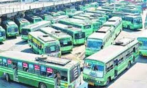 வேளாங்கண்ணி ஆலய திருவிழாவை முன்னிட்டு சிறப்பு பேருந்துகள் இயக்கம் - மேலாண் இயக்குனர் தகவல்