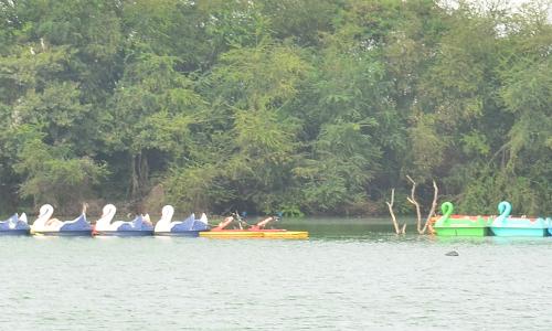 கோவை வாலாங்குளத்தில் படகு சவாரி