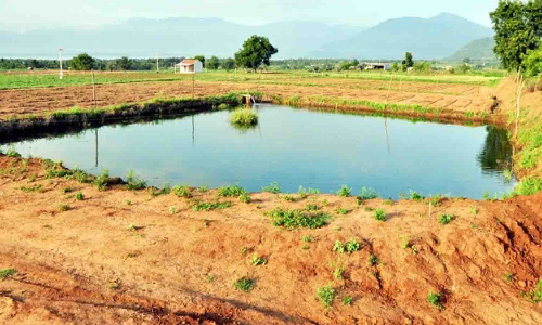 அத்திக்கடவு - அவிநாசி திட்டத்தின் கீழ் குளம், குட்டைகளை தூர்வாரி உறிஞ்சுக்குழி அமைக்க கோரிக்கை