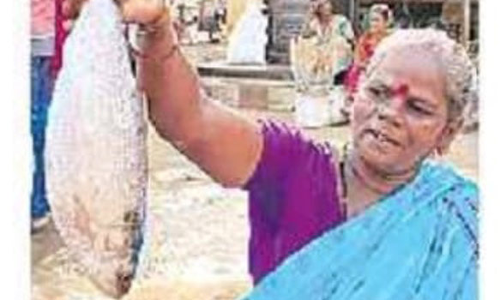 ஆந்திராவில் 2 கிலோ எடையுள்ள புலசா மீன் ரூ.20 ஆயிரத்துக்கு விற்பனை