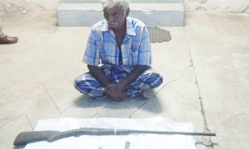 சிறுமலையில் புனுகு பூனையை வேட்டையாடிய முதியவர் கைது  நாட்டுத்துப்பாக்கி, வெட்டரிவாள் பறிமுதல்