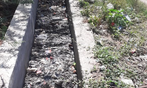 வெங்கடேஸ்வரா நகரில்  தொற்றுநோய் பரவும் அபாயம்