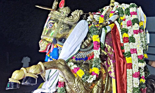 நவநீத பெருமாள் வீதிஉலா