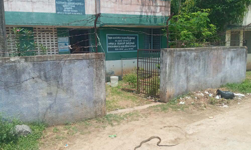 பண்ருட்டி அருகே   அங்கன்வாடி மையத்துக்குள் புகுந்த சாரை பாம்பு