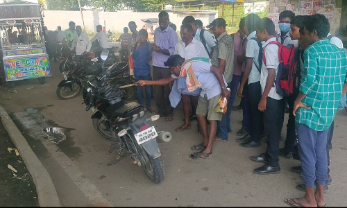 சூளகிரி தேசிய நெடுஞ்சாலையில்  இருசக்கர வாகனத்திற்குள் புகுந்த பாம்பு