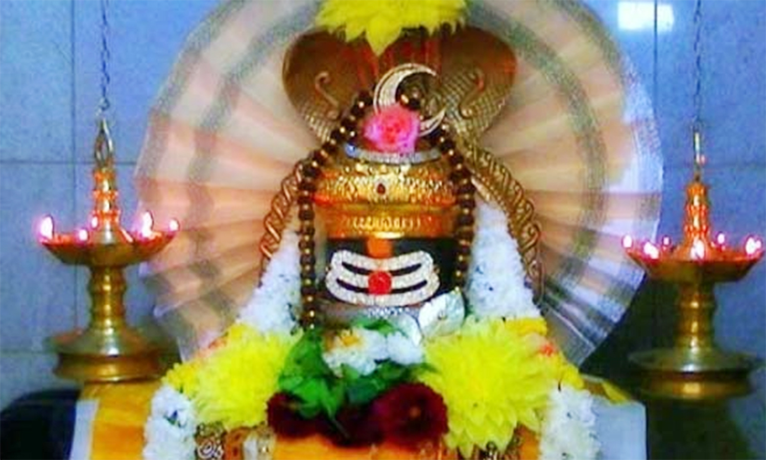 பெரம்பலூரில் சிவன் கோவில்களில் பிரதோஷ வழிபாடு பெரம்பலூரில் சிவன் கோவில்களில் பிரதோஷ வழிபாடு