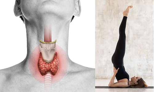 தைராய்டு பிரச்சனையை தீர்க்கும் ஆசனங்கள்...