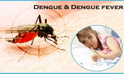 குழந்தைகளை பாதிக்கும் டெங்கு காய்ச்சல்