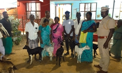 60 ஆடுகளை வேனில் கடத்தி வந்த வாலிபர் கைது