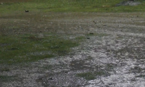 அரூர், மொரப்பூர், பாப்பிரெட்டிபட்டி பகுதிகளில்   சூறைக்காற்றுடன் பலத்த மழை