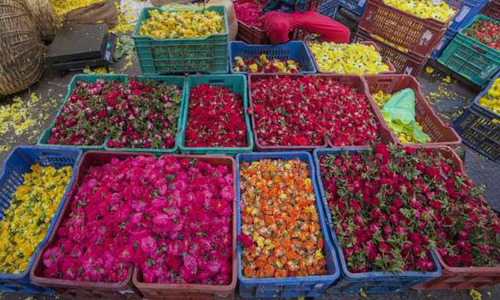 விநாயகர் சதுர்த்தியால் மேலும் அதிகரிக்கும்:  தொடர் விசேஷ நாட்களால் ஓசூரில் பூக்கள் விலை உயர்வு