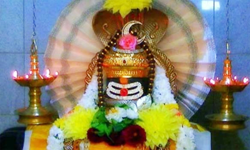 பெரம்பலூரில் சிவன் கோவில்களில் பிரதோஷ வழிபாடு