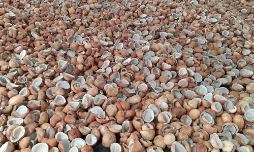 ரூ.3 லட்சத்து 58 ஆயிரத்துக்கு தேங்காய், தேங்காய் பருப்பு ஏலம்