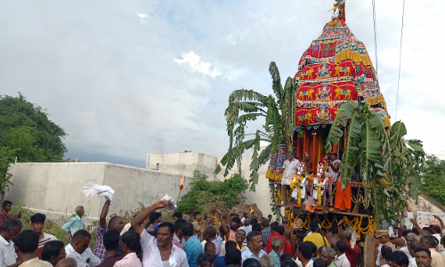 சேத்துப்பட்டில் பனையம்மன் கோவில் தேர் திருவிழா