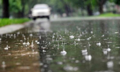 சோளிங்கரில் மழை