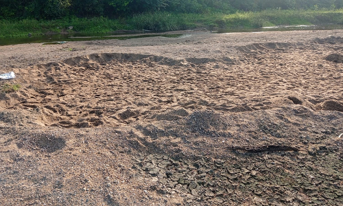 தியாகதுருகம் பகுதியில்  மணிமுக்தா ஆற்றில்  மணல் கொள்ளை