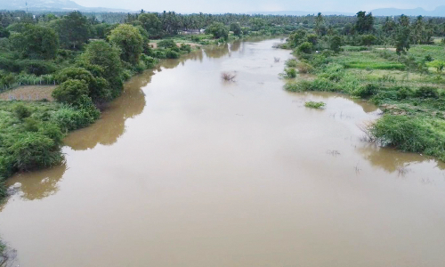 மார்க்கண்டேயன் நதியின் குறுக்கே   கூடுதலாக தடுப்பணைகள் கட்ட வேண்டும்-   விவசாயிகள் கோரிக்கை