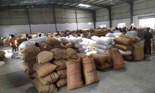 வெள்ளகோவிலில் ரூ.1 கோடிக்கு சூரியகாந்தி விதை விற்பனை