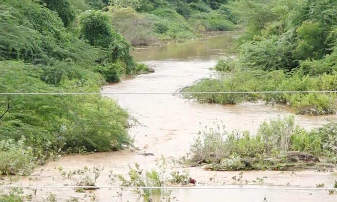 சிங்கம்புணரி பாலாற்றில் காட்டாற்று வெள்ளம் சிங்கம்புணரி பாலாற்றில் காட்டாற்று வெள்ளம்