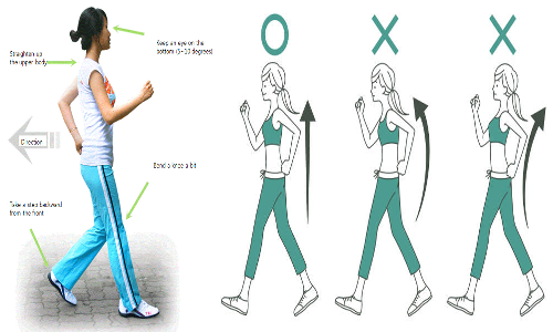 தினமும் 20 நிமிடம் பின்னோக்கி நடைப்பயிற்சி செய்யலாம்....