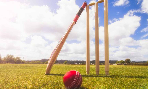 சென்னையில் பிரீமியர் லீக் 20 ஓவர் போட்டி- சாம்பியன் பட்டம் வென்றது பொதுமருத்துவ அணி