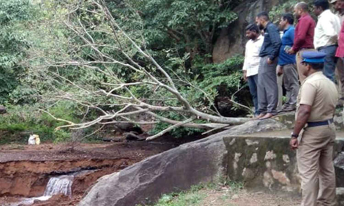 செங்கோட்டை அருகே நீரோடைகளை மறித்து  கட்டப்பட்ட தனியார் அருவிகளை அகற்றும் பணி - கலெக்டர் நேரில் ஆய்வு