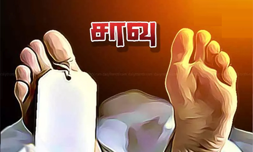 சாலை விபத்தில் விவசாயி பலி