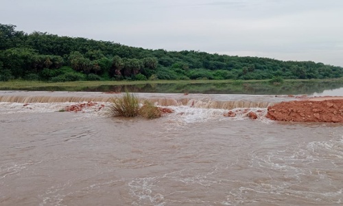 பெண்ணாடம் அருகே  மழை வெள்ளத்தில் அடித்துசெல்லப்பட்ட தரைப்பாலம்