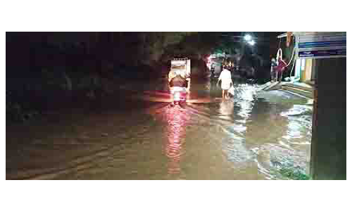 கிருஷ்ணகிரி, தருமபுரியில்  கனமழையால் 20-க்கும் மேற்பட்ட   வீடுகளை வெள்ளம் சூழ்ந்தது