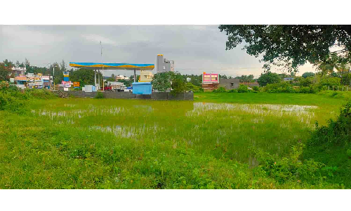 கால்வாய் வசதி இல்லாததால்   சூளகிரி-பேரிகை சாலையில்  ஆறாக ஓடும் மழைநீர்