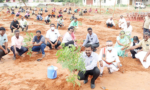 வீடு தோறும் விருட்சம் திட்டத்தின் கீழ் மரக்கன்று நடும் விழா- கலெக்டர் தொடங்கி வைத்தார்