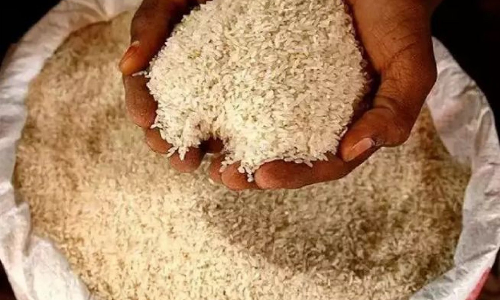 வீட்டில் பதுக்கிய 1,550 கிலோ ரேஷன் அரிசி பறிமுதல்