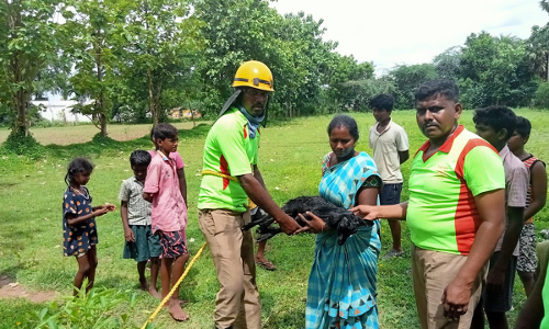 மங்கலம்பேட்டை அருகே 50 அடி கிணற்றில் தவறி விழுந்த ஆடு உயிருடன் மீட்பு