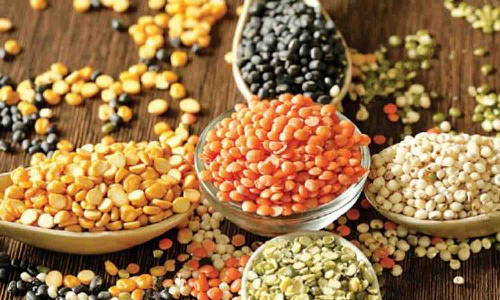 மானாவாரி விதைப்புக்கு  விதைசோளம்- பயறு வகைகளை   மானிய விலையில் வழங்க வேண்டும் - விவசாயிகள் சங்கம் கோரிக்கை