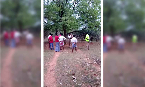 கடையம் அருகே கடந்தை வண்டு கொட்டி விவசாயி சாவு