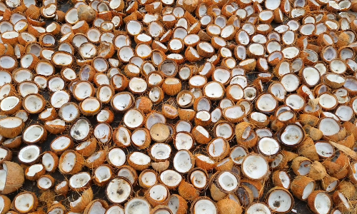 ஆதார விலை கொப்பரை கொள்முதல் செய்ய காலக்கெடு நீட்டிப்பு-மத்திய அரசு நடவடிக்கை