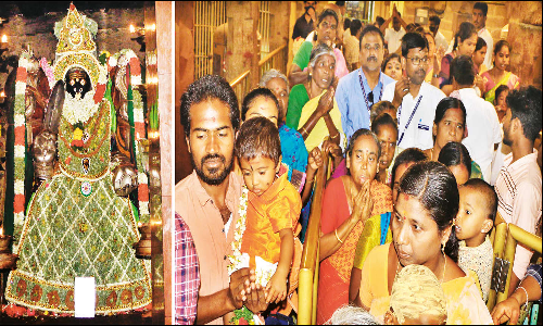 புன்னைநல்லூர் மாரியம்மனுக்கு மரிக்கொழுந்து அலங்காரம்