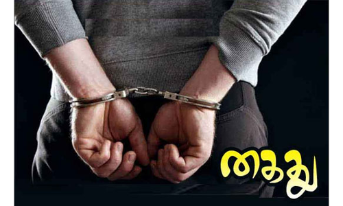 செயின் பறிப்பில் ஈடுபட்ட  கணவன்- மனைவி கைது