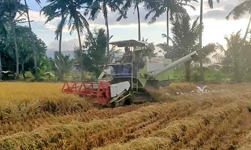 கல்லிடைக்குறிச்சியில் நெல் கொள்முதல் நிலையம் திறக்கப்படுமா?