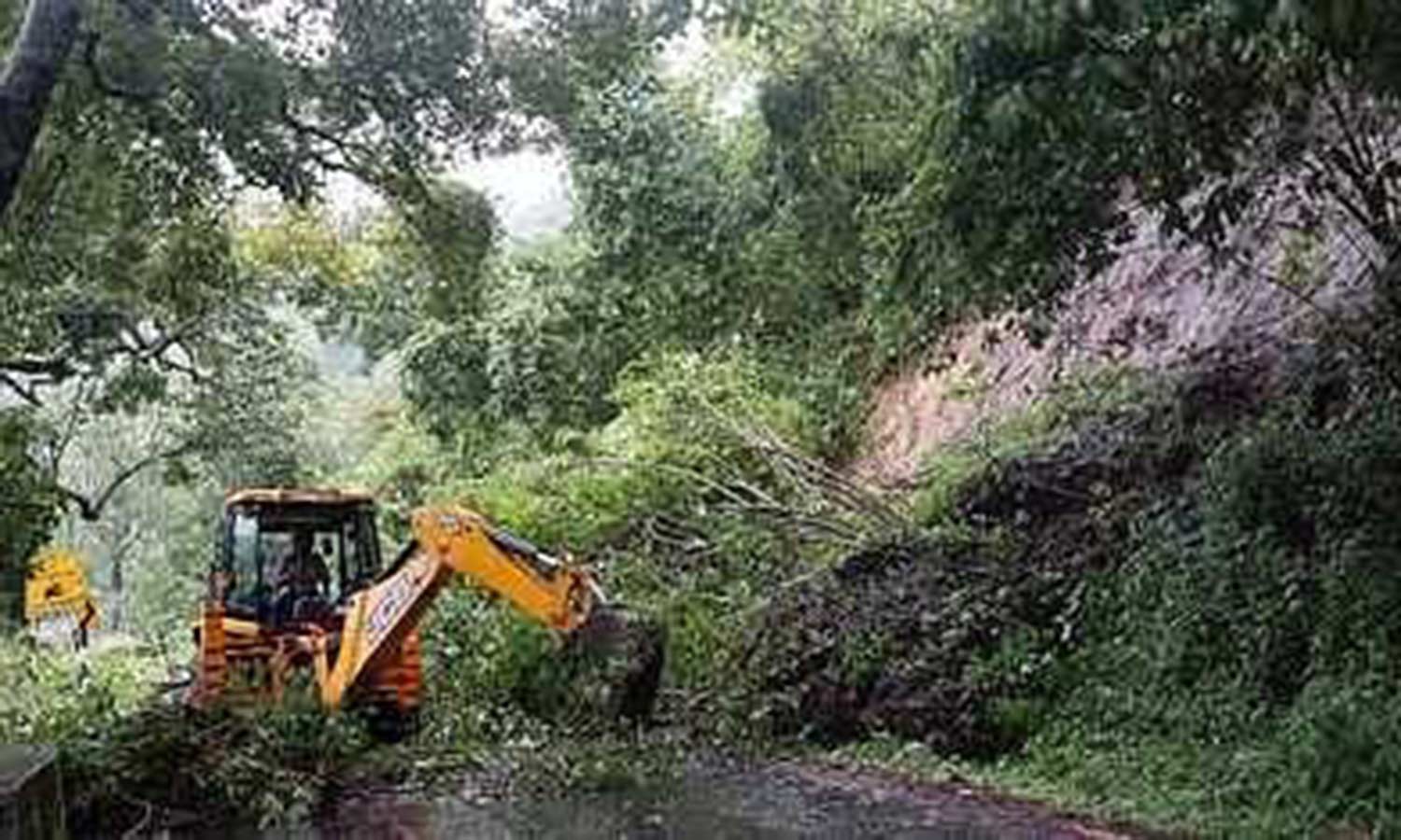 தொடர்ந்து கொட்டும் மழை- நீலகிரியில் மண்சரிவால் போக்குவரத்து பாதிப்பு தொடர்ந்து கொட்டும் மழை- நீலகிரியில் மண்சரிவால் போக்குவரத்து பாதிப்பு
